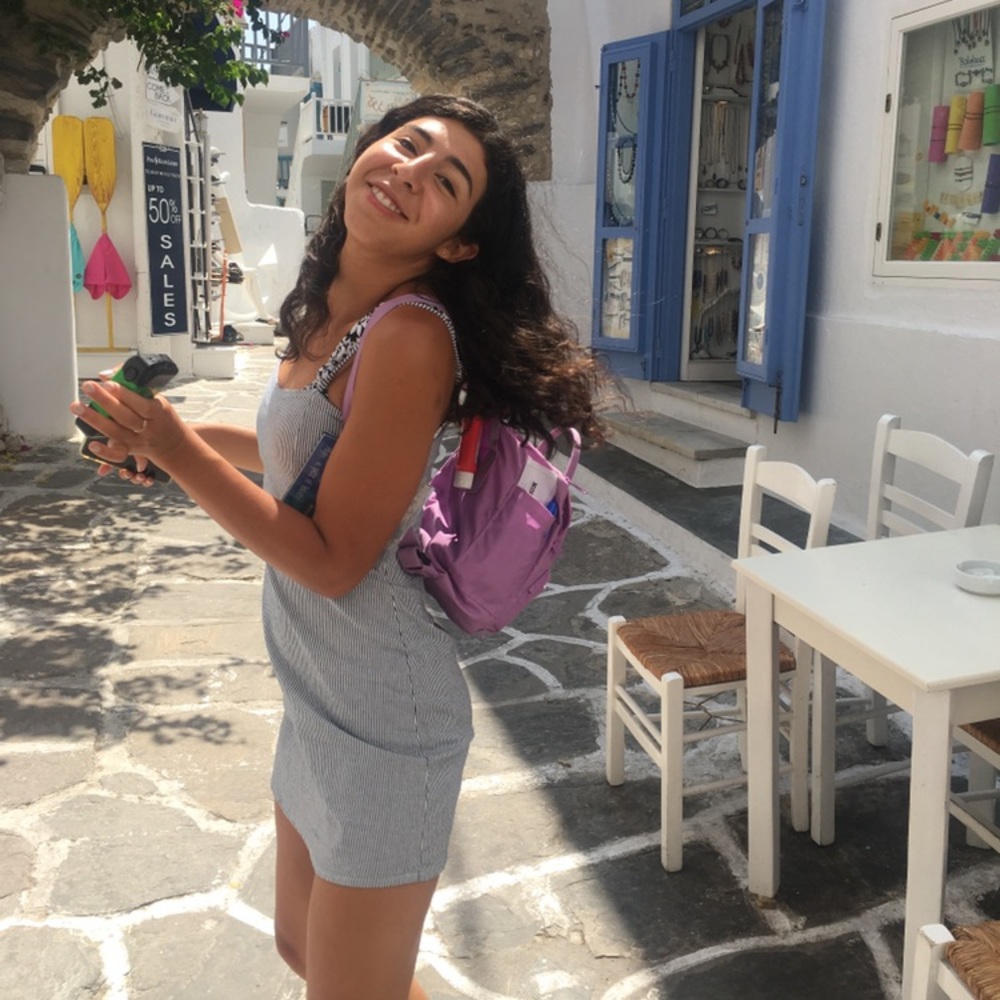 Pinstripe Brandy Melville Dress